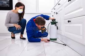 Best Real Estate Pest Inspections  in Mount Holly, NC